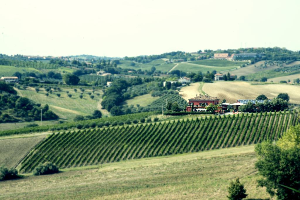 Tenuta Santini Villa Кориано Екстериор снимка